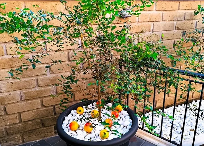 Casetta Il Melograno San Filippo Gemelli Apartament *